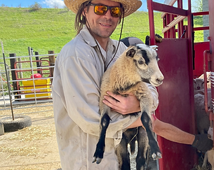 Justin with badger lamb_edited_edited.png