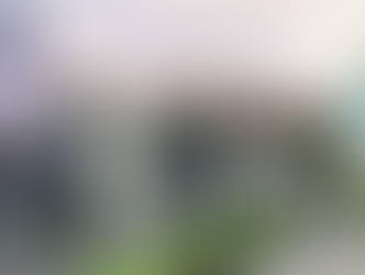 Gobierno municipal de Zinacantepec conmemora Día de la Constitución Mexicana