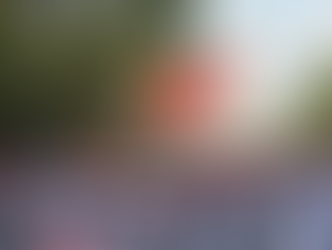 CNTE anuncia paro indefinido de labores luego de trabas en reunión con AMLO