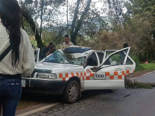 Fatal accidente en Donato Guerra: árbol cae sobre taxi y conductor fallece