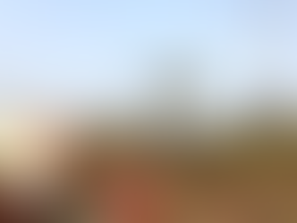 Más de 500 migrantes fueron abandonados al sur de Veracruz