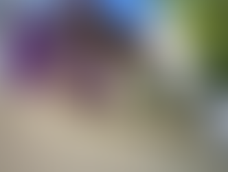 Ven legitimidad en paro de labores de trabajadores del PJ en México