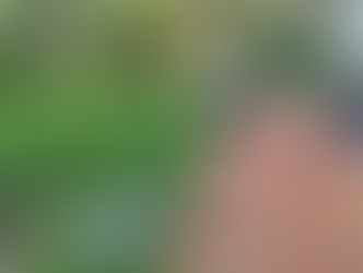 Descubren cadáver embolsado junto a la carretera Monumento–Valle de Bravo