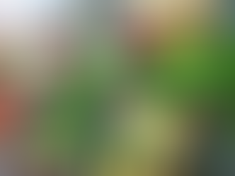 Inflación al alza: Frutas y verduras suben de precio en junio