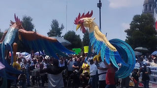Rechazo de galleros a la Ley de Bienestar Animal por impacto en ingresos