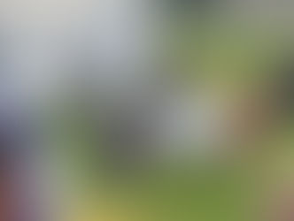 Hallan a un hombre sin vida con signos de violencia en una milpa de San Pedro Totoltepec, Toluca