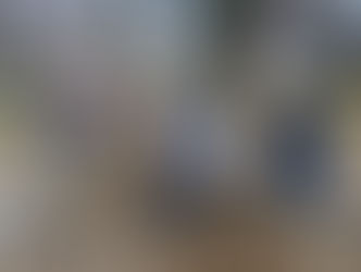 Inicia campaña sanitaria de ganado en comunidades de Tenancingo