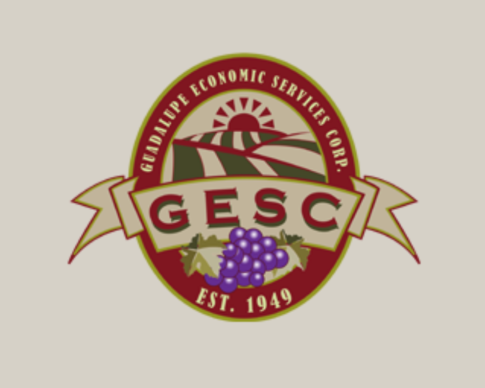 Guadalupe Economic Services Corp