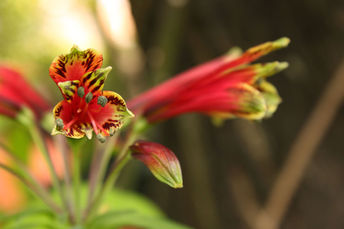 exploraciones terrestres 6