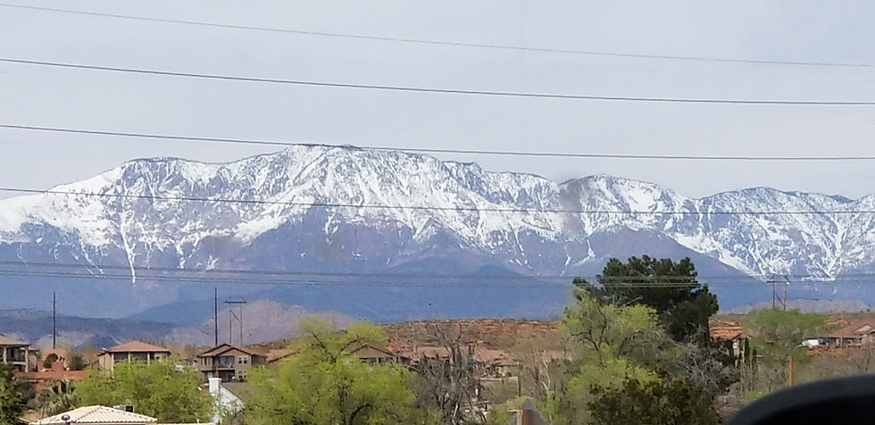 20190326_154823.jpg