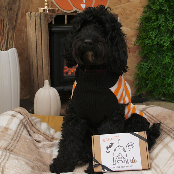 Dog Treat Boxes Personalised_edited.jpg