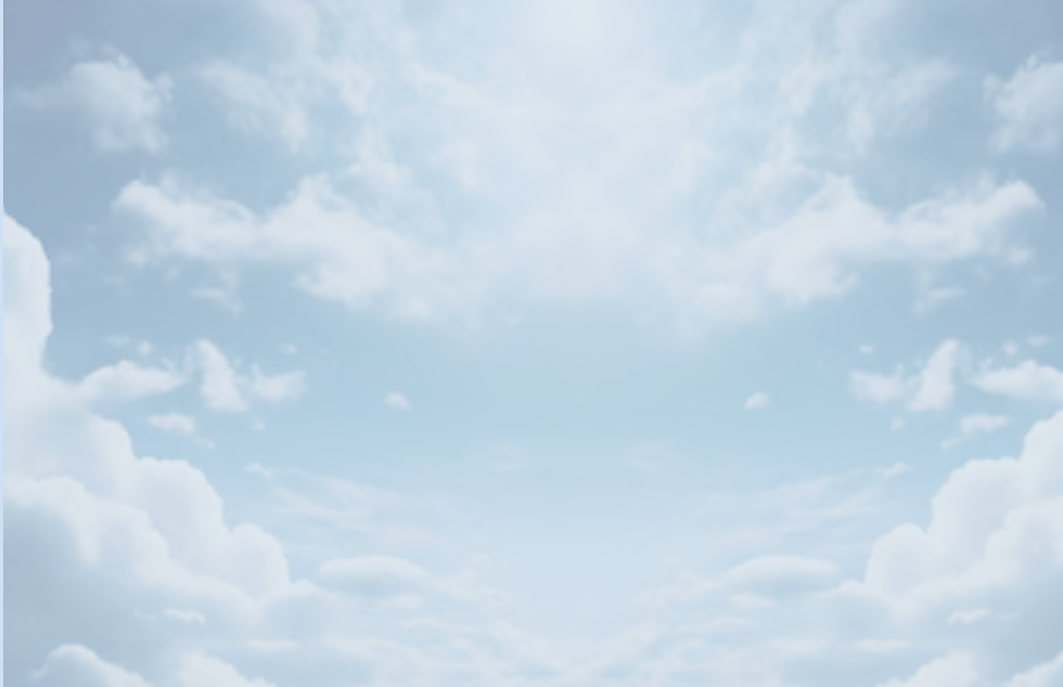 Copy of Trifold Funeral Program 02 (Z-Fold Brochure (Landscape)).png