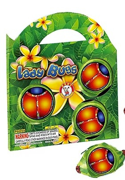 LADYBUGS.jpg