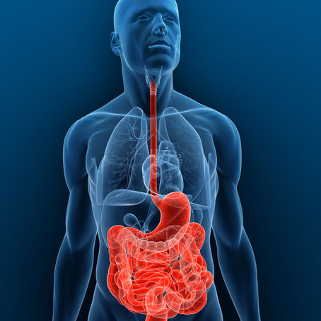 What is leaky gut and do you need to worry about it?