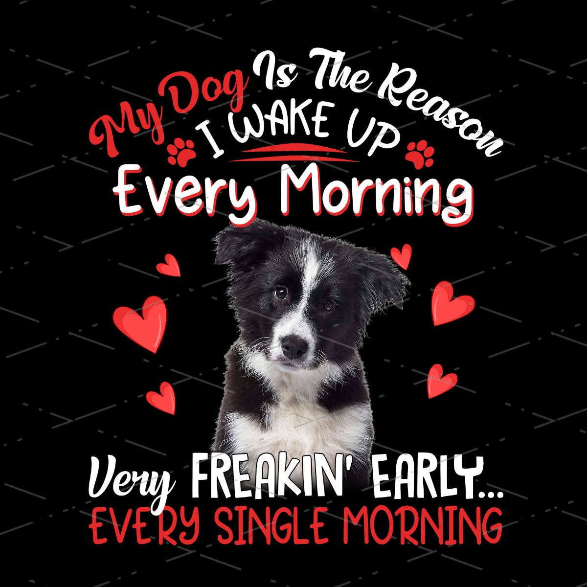 Border Collie, My Dog Is The Reason I Wake Up Every Morning Very Freaking Early Every Single Morning Dog Owner dtf transfers