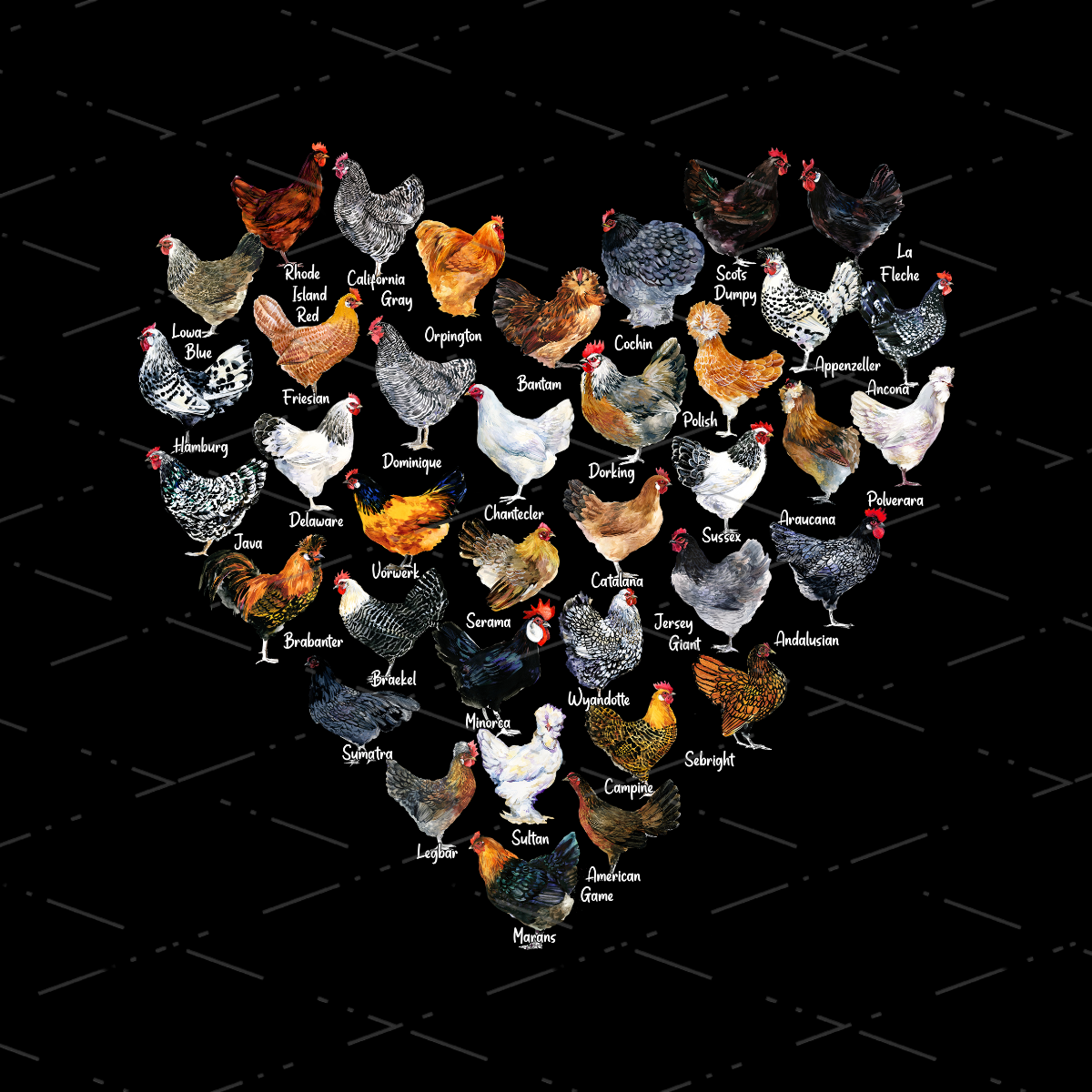 Chicken Heart Shape, Kinds Of Chicken, For Chicken Owners and Lovers sublimation designs