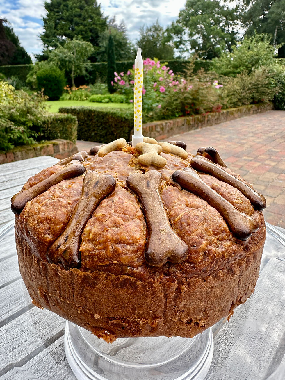 Thumbnail: Dog Birthday Cake