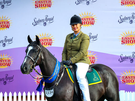 Best of the breeds put on right royal display at Sydney