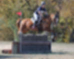 ABOVE: Lauren Gretgrix and Nawarrah Park Landslide riding for the Bendigo and District Family Equestrian Group placed sixth in level three division B. Picture: DEREK O’LEARY