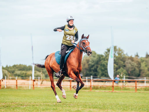 Young endurance horses up for the challenge in Europe