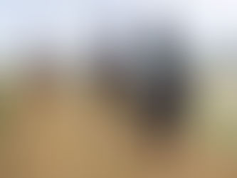 Counting the beat puts young riders on track to precision