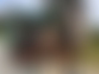 Di takes the scenic route for a 500km trek to Barellan