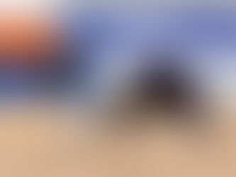 Interschool competition stands the test of time with numbers bigger than ever