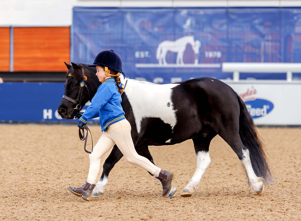 Interschool competition stands the test of time with numbers bigger than ever