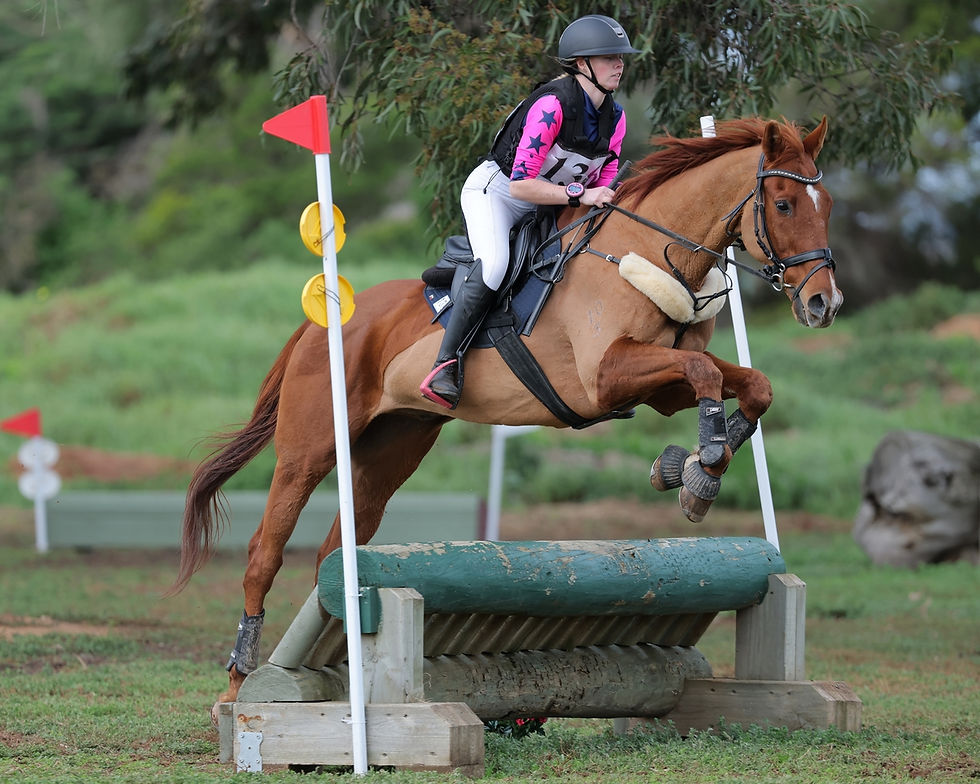 ABOVE: Moyhu Pony Club’s Emma Howell and her off-the-track Thoroughbred Good Party tackled open grade three in the second event of the series. Picture: DEREK O’LEARY