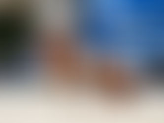 Bits: Silver for Simone, good opportunities for pony clubbers and Tassie award winners