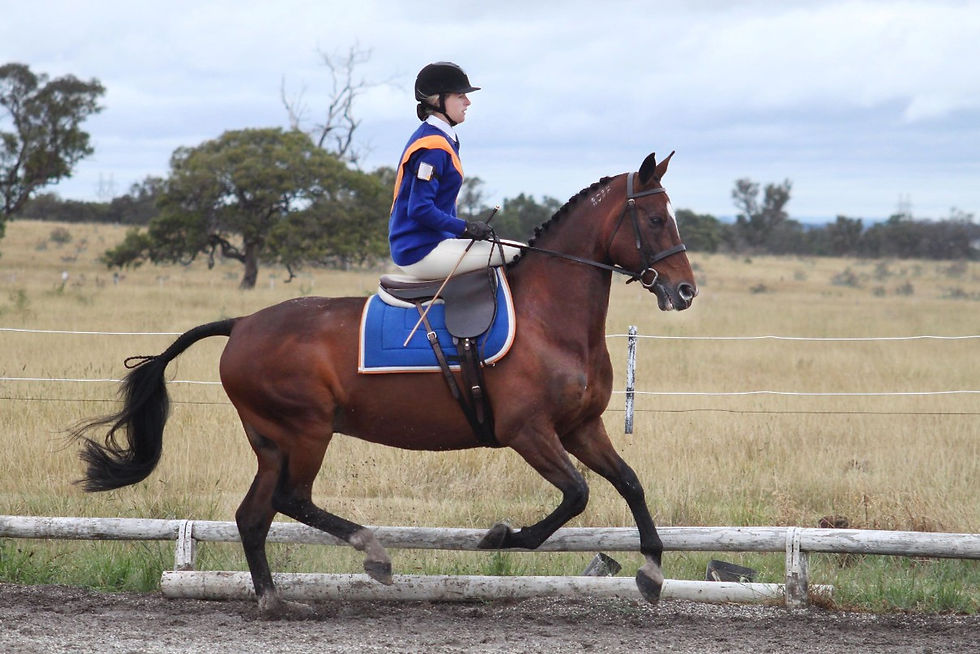 ABOVE: Stacey Rusic competing at a pony club event.