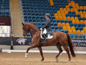 Dressage stars head to Queensland for classy event