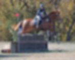 ABOVE: Kay Harding and Jirrima Candyman representing Gerogery Equestrian Club. Picture: DEREK O’LEARY