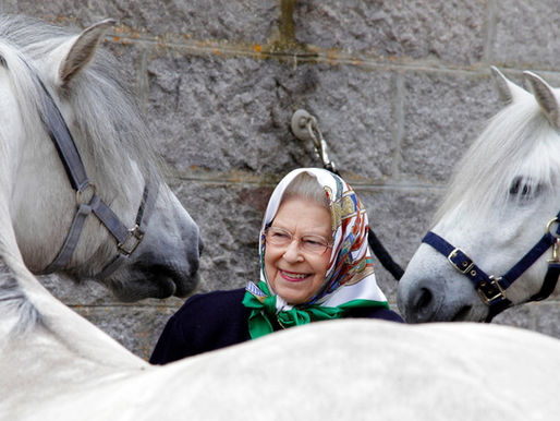 Bits: Highlands moving, horse strategy & a herd reduction