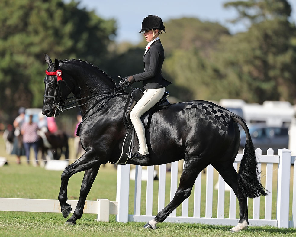 ABOVE: Donna Carmella carried Grace Pihan to third place in her riding class for 15 to 17-year-olds.