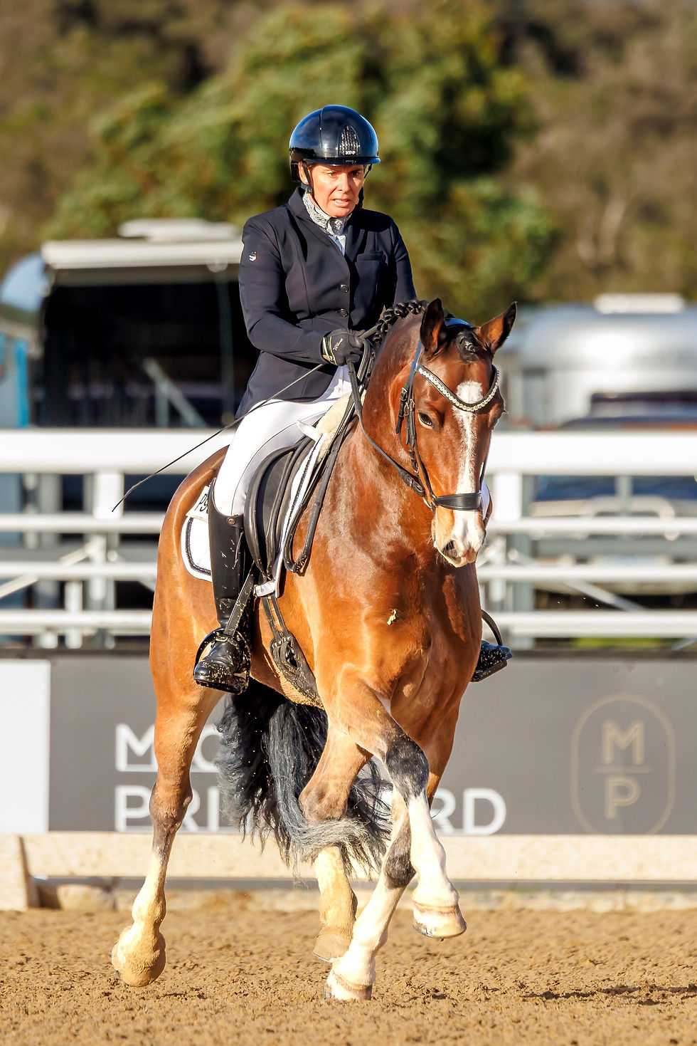 ABOVE: Toni Webb and Salient Park Once Again. Picture: ONE-EYED FROG