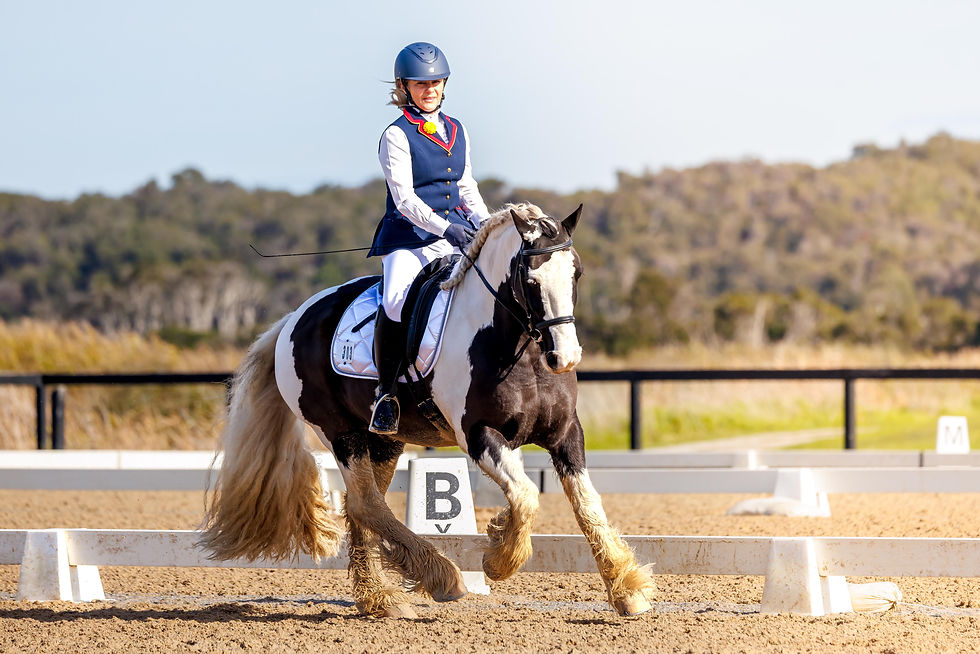 ABOVE: Katherine Banfield and Surrey Springs Sir Percival placed fourth in the HRCAV level three 3.2 class, rounding out a top four who all scored more than 70 per cent. The combination also placed fifth in the 3.4. Picture: ONE-EYED FROG