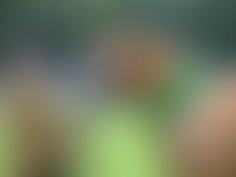 First of the big Welsh shows features some hot competition