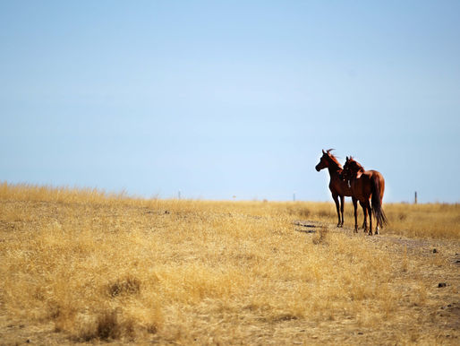 Time for some sober thinking with declaration of El Nino