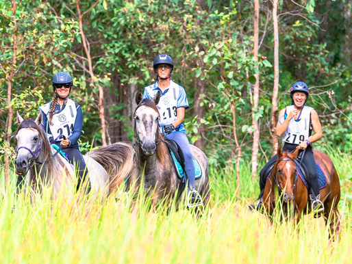 Is it time for you and your horse to try something new? 