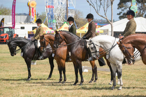 Novice hack over 16.2hh Efron