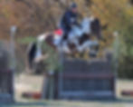 ABOVE: Kaytlyn Lawton and Felton Park Zen placed fifth in level two for the Yarra Glen Adult Riding Club. Picture: DEREK O’LEARY