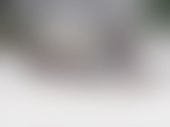 Light harness competitors put to the test in windy conditions 