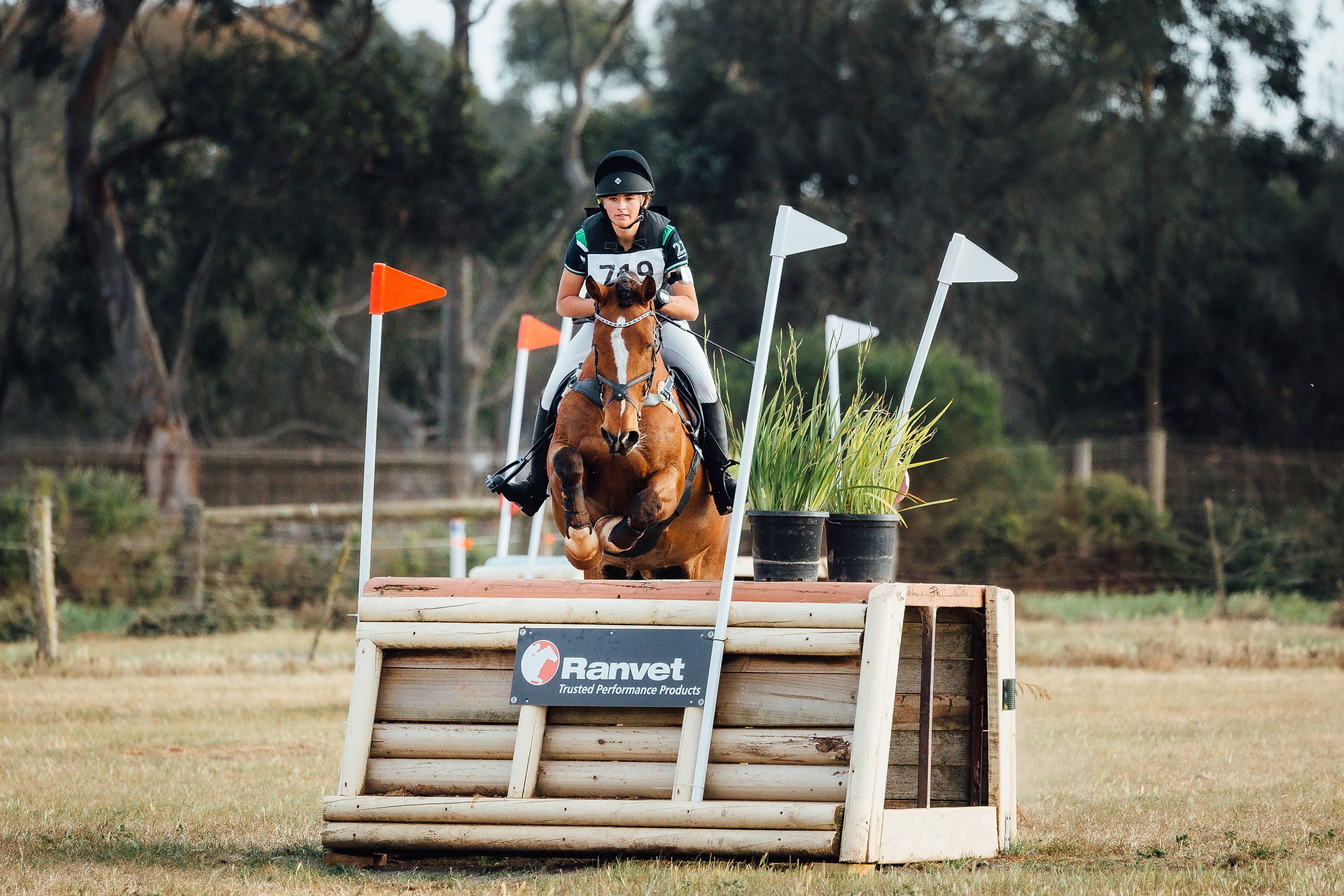 Hunter Palfreyman/EQUISOUL