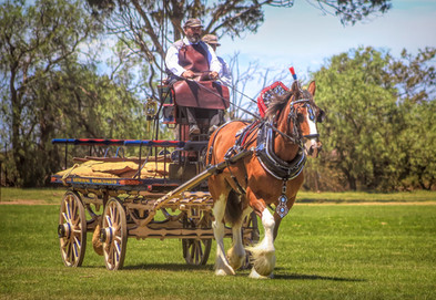 Scott Marr and Benwerrin Louis