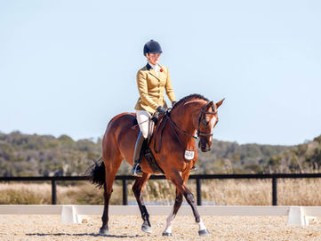 Carnival celebrates retired racehorses competing across three disciplines