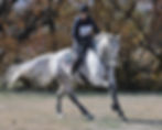 ABOVE: Liz Koschitzke from Gerogery Equestrian Club and Grande Journey. Picture: DEREK O’LEARY