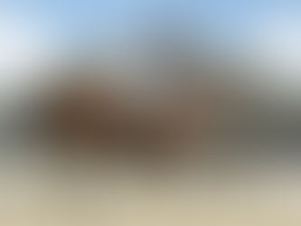 Inquiry finds arena tender process to be 'flawed'