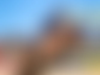 Four seasons in one royal show at Adelaide 2023