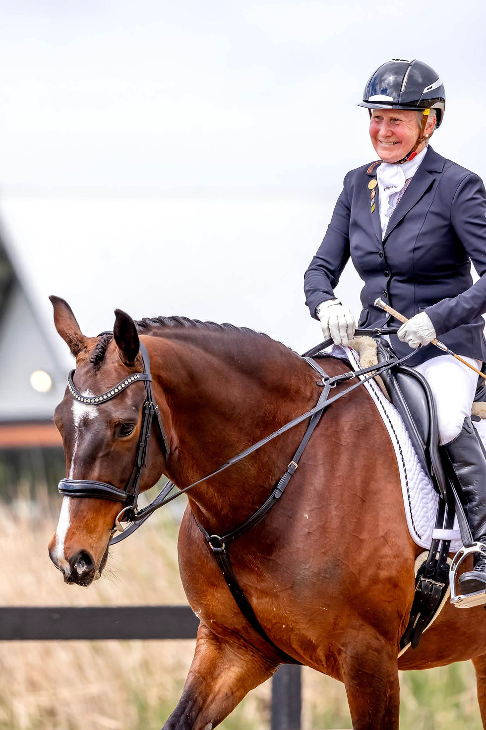 ABOVE: The Preliminary dressage champions Delwyn Ogilvy and Wairua (aka Walter and as a racehorse, Bonny Ezra). Picture: ONE-EYED FROG